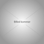 Pølse 2